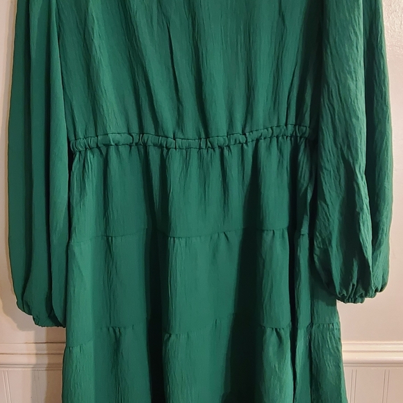 Max Studio Green Long Sleeve Dress - Picture 3 of 8